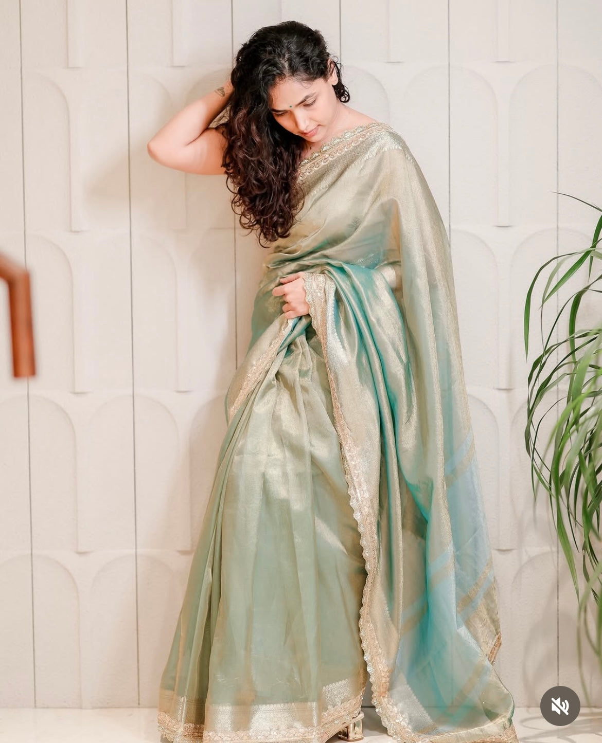 Anupama Gowda Tissue Saree
