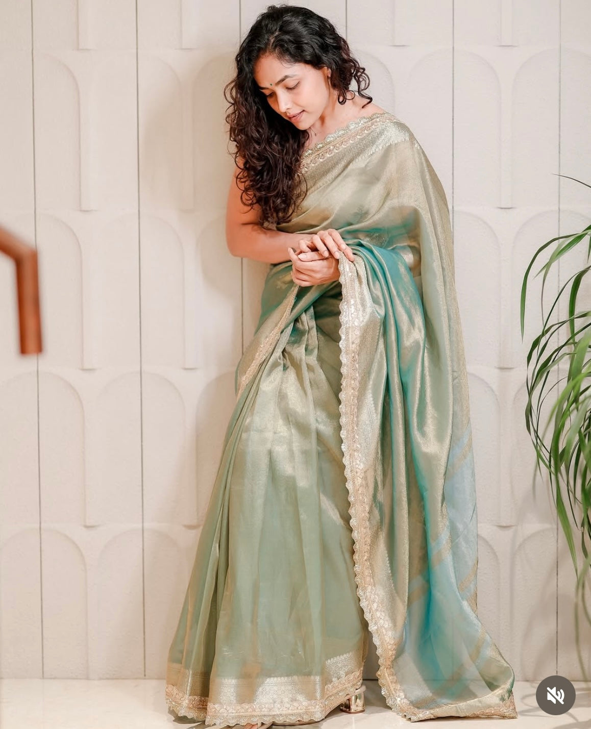 Anupama Gowda Tissue Saree