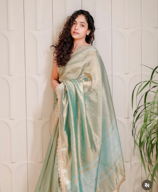 Anupama Gowda Tissue Saree