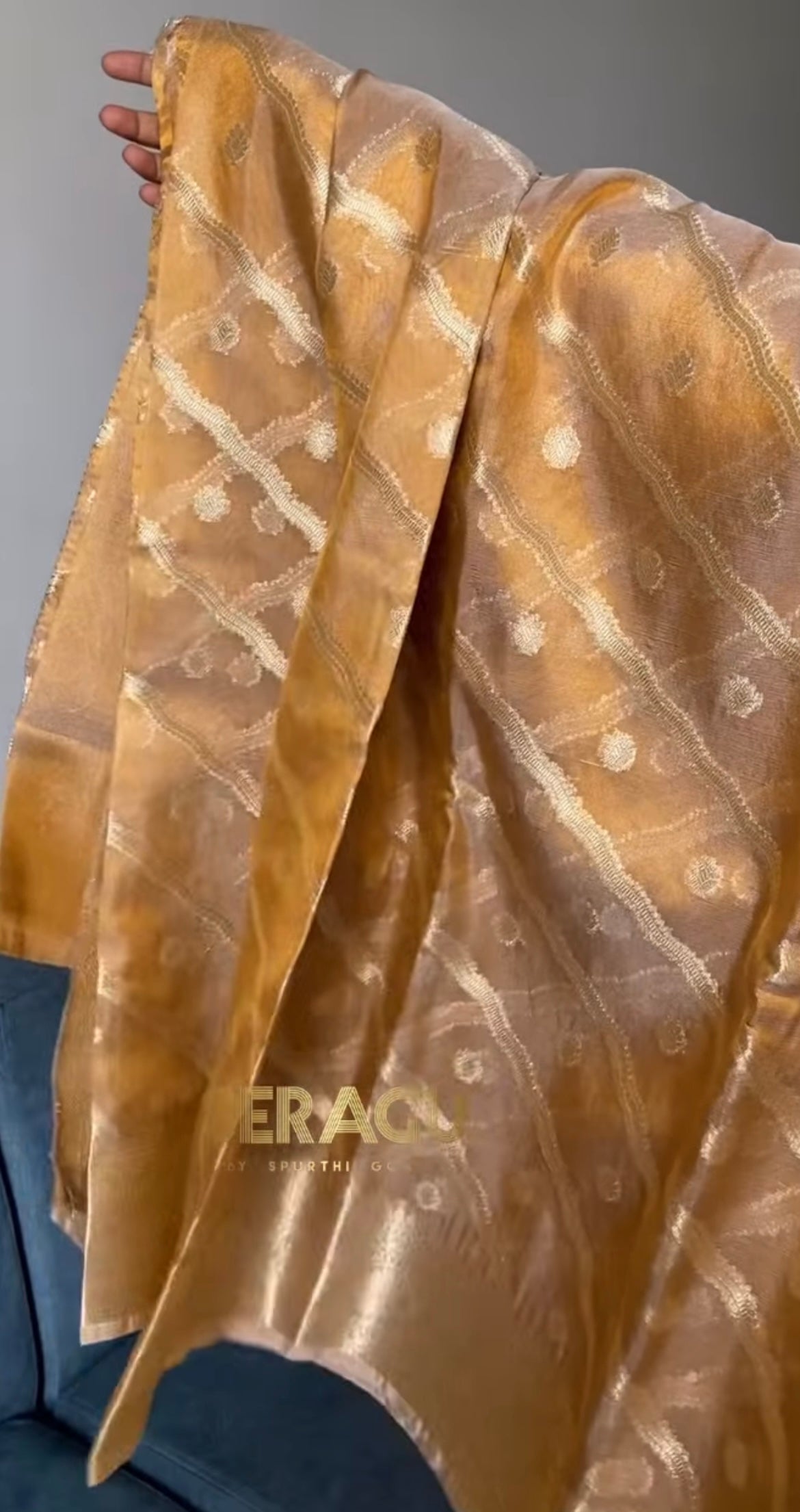 Tissue Banarasi saree