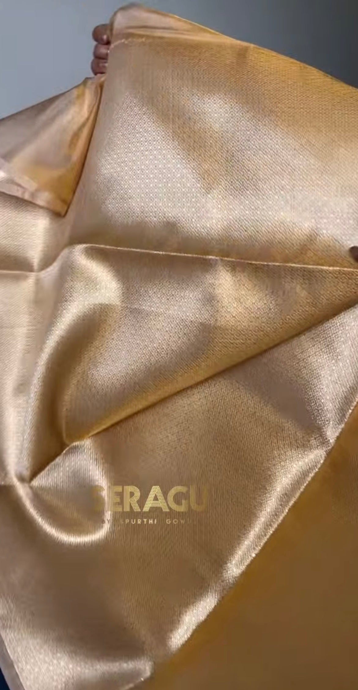 Tissue Banarasi saree