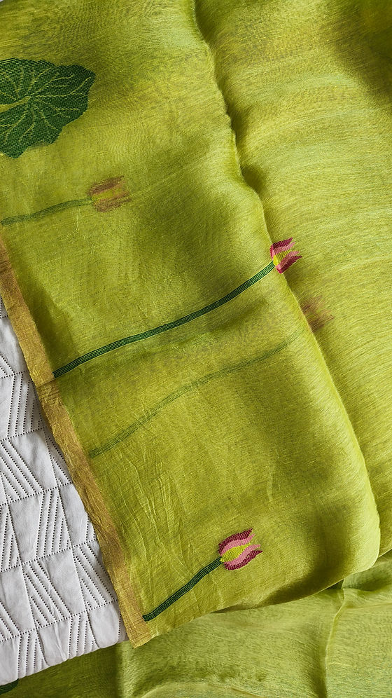 Pure linen by linen silk jamdani saree(SBSGLG05)